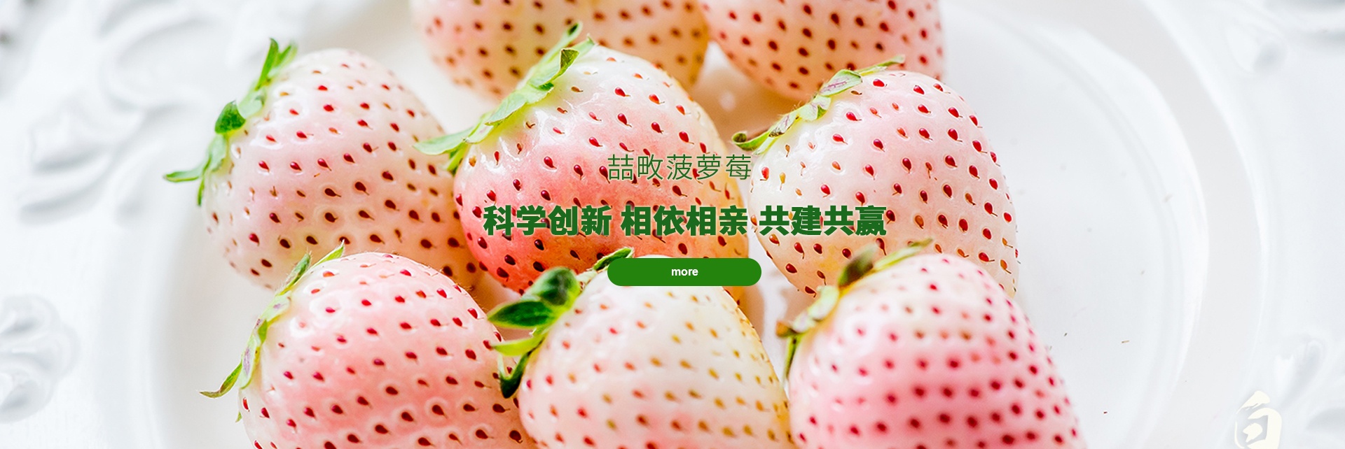 球友会官网