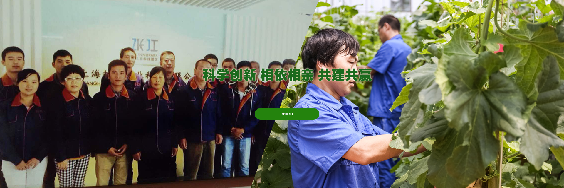 球友会官网