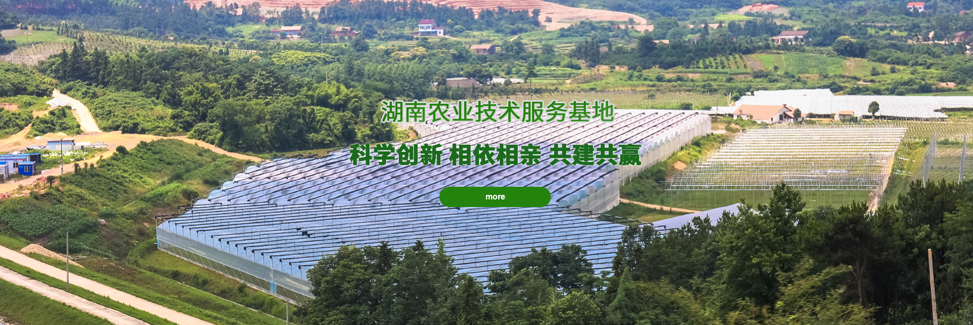球友会体育在线